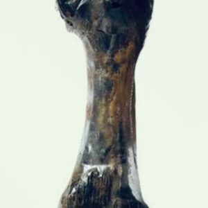 Femur
